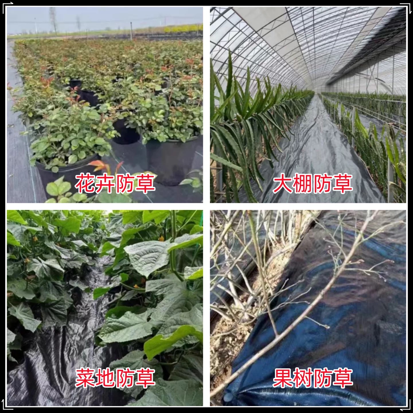 南充市防草布防草布 - 一站式服务