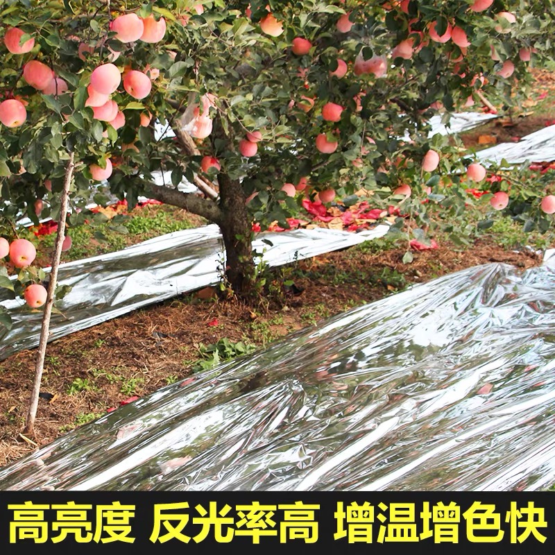 南充市农用薄膜果树反光膜 - 价格